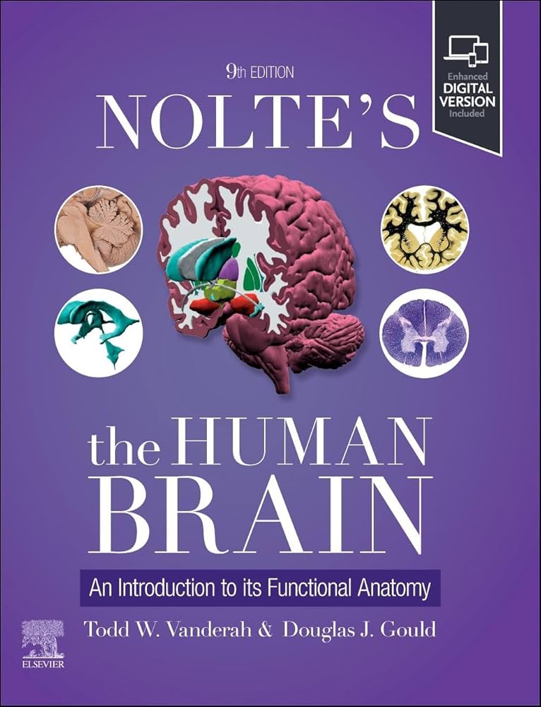 Nolte's The Human Brain: An Introduction to its Functional